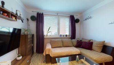 1-izbový byt | Podunajské Biskupice 3D Model